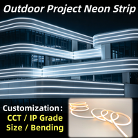 Éclairage à 360 degrés IP67 adressable Neon Flex Rope Light 24V 18mm 1800K-6500K Digital Pliable LED pour plafond Home Decor Light