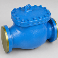 Válvula de Retención de Columpio Reforzada con Brida, ASTM A216 WCB, Acero Fundido, Clase ASME 1500, DN100/4 Pulgadas para Sistemas de Tuberías Industriales