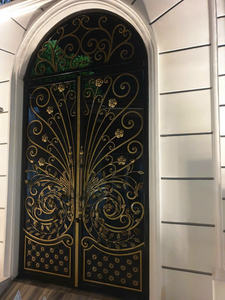 Puerta de Acero Forjado de Estilo Francés Arquitectónico con Recubrimiento en Polvo y Servicio de Soporte de Alta Calidad - Product Image 5