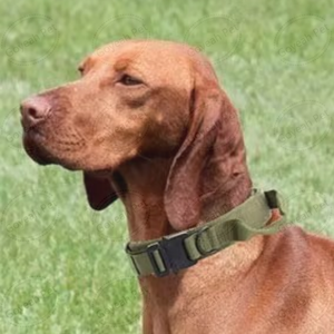 Quality Heavy Duty <strong>Tactical</strong> <strong>Dog</strong> <strong>Collar</strong> Quick Release <strong>Dog</strong> Training <strong>Collar</strong> - Product Image 5