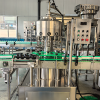 Machine de remplissage automatique rotatoire de bouteilles de whisky de rhum d'alcool de 700ml avec la bande transporteuse