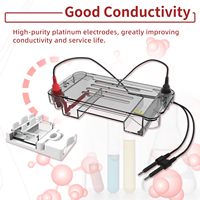Appareil d'électrophorèse sur gel d'agarose WEIAI Mini, 11 puits, pour l'analyse de l'ADN, de l'ARN et de la PCR, système d'électrophorèse horizontale sur gel de laboratoire