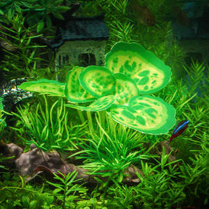 10cm 하이 퀄리티 플라스틱 관상용 식물과 수족관 용품 용 가라 나무 미니어처 어항 물 풍경 모델링 - Product Image 5