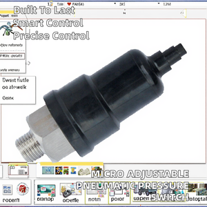 Interruptor de Presión Neumático Microajustable, Rosca G1/4, Cuerpo de Plástico, Color Negro - Product Image 2