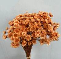 Die Bloemen Groothandel Droge Braziliaanse Ster Bloem Home Party Festival Decoraties Gedroogde Bloemen