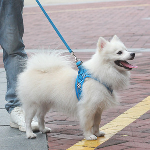 Surepet XL xuyên biên giới Pet Dog đi bộ quần áo dễ thương Con Chó Nhỏ độn Nylon nút đóng cửa kẻ <span class=keywords><strong>s</strong></span>ọc mô hình ruy băng rửa tay - Product Image 3