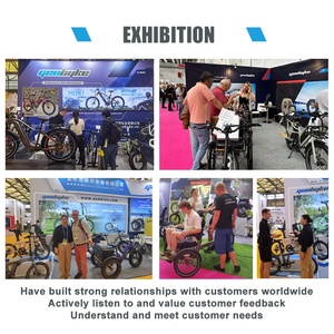 Entrepôt <span class=keywords><strong>allemand</strong></span> livraison rapide 250w tricycle électrique à 3 roues avec paniers avant et arrière - Product Image 6