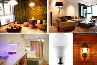 Ampoule LED personnalisée en boîte couleur AC85-265V A50 5W E27 500LM CCT 2700K PF0.6 CRI 80 Lumière douce, sans scintillement et plus respectueuse des yeux