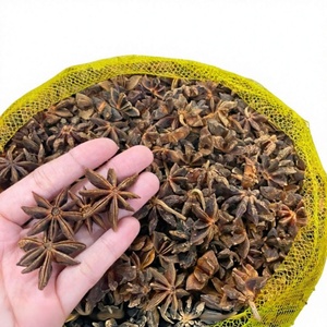 โป๊ยกั๊กออร์แกนิกแบบแห้งจากเวียดนาม - Product Image 1