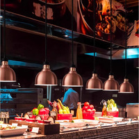Lampe chauffante XIDA pour la restauration, les buffets, les supermarchés - 5 heures de chauffe, énergie efficace, classe énergétique, plusieurs pays