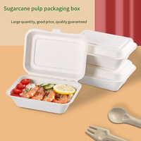 Barquette alimentaire jetable biodégradable en bagasse de canne à sucre 600 ml pour plats à emporter, barbecue, fête, camping, écologique