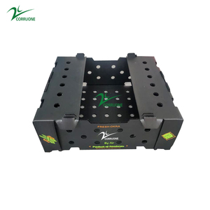 Custom PP corruone Plastic Corrugated Okra Box a4 Size Nuc Asparagus Corrugated Plastic Corn box