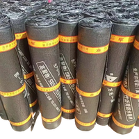 Torche de matériau étanche sur feuille SBS Asphalte bitumineux modifié Bitume Imperméabilisation Toiture Membrane étanche