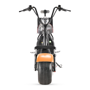 Scooter électrique pour adultes Loyal Australia Market 2000W avec moteur sans balais, modèle Citycoco, 2 roues, double siège, pliable, GPS - Product Image 4