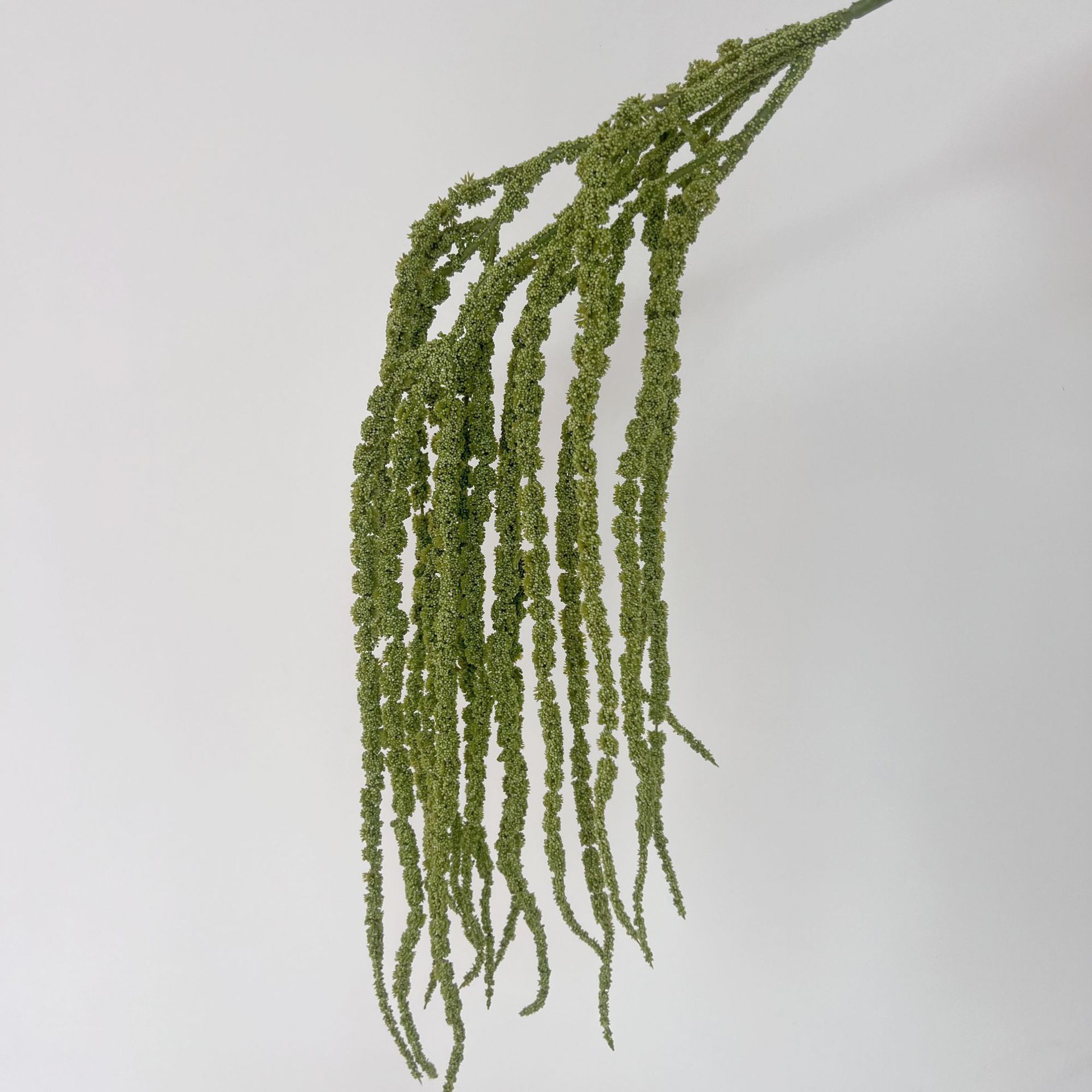 Colgante Amaranthus