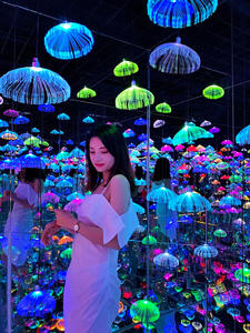 Lámpara de luz solar diwali para decoración del hogar, miniluces LED Multicolor 3d de navidad para fiestas y exteriores, barata - Product Image 5