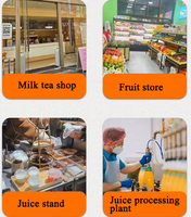 Meest populaire tomatenpers, mangopuree persmachine, sapcentrifuge, blender, fruitsapcentrifuge, groentesapcentrifuge