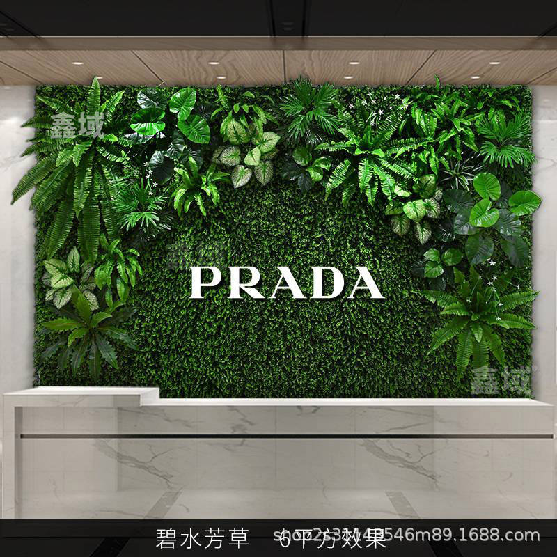 ข้อเสนอพิเศษน้ำและหญ้าสีเขียว (ราคา1ตาราง)