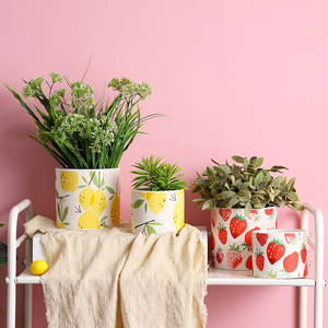 Maceta de Cerámica con Bandeja, Diseño de Frutas (Fresa y Limón), Ecológica, Duradera, con Orificio de Drenaje, Moderna y Minimalista - Product Image 5