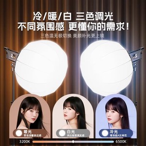 Professional Photography Lights 100W LED Three Color Adjustable Deep Polished Soft Light Spherical For Live Streaming Room - Product Image 5
