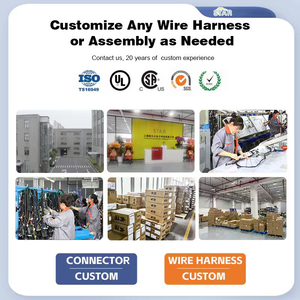 موصل ذكر مخصص للسيارات بـ 6 سنون SWP 7222-7464-40 إلى موصل أنثى بـ 6 سنون من نوع دويتش DT06-6S مع ضفيرة أسلاك - Product Image 6