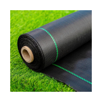 Tapis de contrôle des mauvaises herbes, géotextile tissé en PP stabilisé aux UV, couverture de sol industrielle et agricole, anti-herbe, rouleau de tissu noir