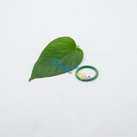 F00RJ01728 Joints toriques de haute qualité et à bas prix F00R J01 728 Joint torique pour camion F 00R J01 728 pour injection