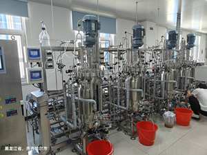 Vacina Hepatite B Vacina Tanques De Fermentação Fermentador De Aço Inoxidável Bioreator 50L - Product Image 2