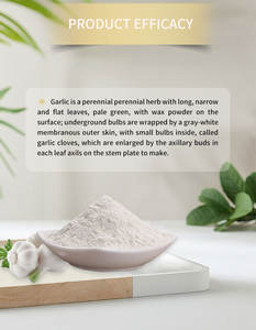 Poudre d'<span class=keywords><strong>ail</strong></span> biologique végétalienne Nutrition verte Superfood poudre d'<span class=keywords><strong>ail</strong></span> séchée à froid poudre de <span class=keywords><strong>concentré</strong></span> d'<span class=keywords><strong>ail</strong></span> de croissance durable - Product Image 3