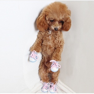 Venta al por mayor de fábrica: Accesorios de moda con estampado ecológico para perros, zapatos de mezclilla tipo <span class=keywords><strong>Converse</strong></span> para uso invernal. - Product Image 5