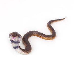 Modelo de <span class=keywords><strong>Serpiente</strong></span> Realista de <span class=keywords><strong>la</strong></span> Serie de Reptiles Salvajes, Fabricado con Materiales Ecológicos, Juguete de TPR para Niños - Product Image 6