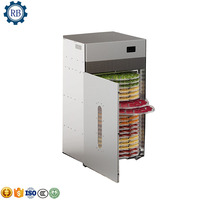 Gedehydrateerde Passievrucht Champignonkoolblad Roterende Infrarood Mini Voedsel Dehydrator Mat Vellen Droger Knoflook Dehydratie Machine