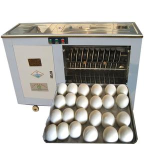 Divisora y Boleadora de Masa, Mezcladora de Masa, Línea de Producción, Máquina para Hacer Bolas de Masa para Panes de Hamburguesa - Product Image 6