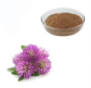 100% Natural Red Clover <strong>Extract</strong> Isoflavone <strong>Trifolium</strong> <strong>Pratense</strong> Red Clover <strong>Extract</strong> - Product Image 2
