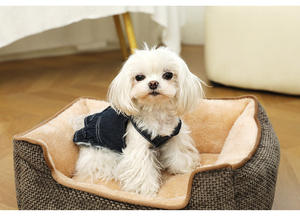 CocheFamilia luxe Portable XL grand <span class=keywords><strong>lit</strong></span> pour <span class=keywords><strong>chien</strong></span> <span class=keywords><strong>de</strong></span> compagnie motif solide Style moderne voyage Camping <span class=keywords><strong>lit</strong></span> petits animaux toutes les saisons haute - Product Image 3