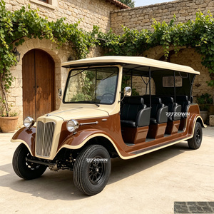 ZOWN Vehículo Eléctrico Clásico Vintage de Alta Resistencia para Recorridos Turísticos, de 4 a 12 Pasajeros, para Atracciones de Turismo Cultural - Product Image 1