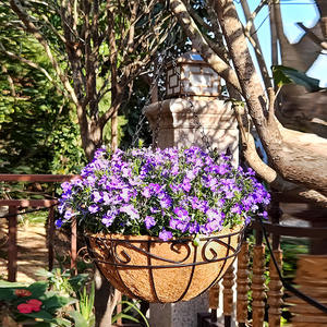 C75 panier de jardinière suspendu rond en métal décoration de jardin intérieur et extérieur avec chaîne de revêtement en coco coco pour pépinière à domicile - Product Image 1