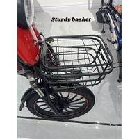 Vélo électrique économique pour étudiants avec roues de 20 pouces et moteur de 500W, accélérateur et assistance au pédalage, deux modes, batterie au plomb-acide