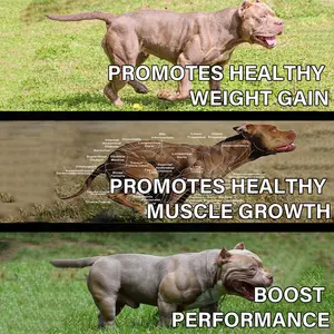 Pet Bully Development Muscle Gain Suplemento Alto en proteínas Fortalece los suplementos nutricionales inmunitarios para perros