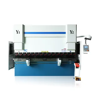 Freno de prensa CNC CE WE67K 160T 3200 y dobladora de placa hidráulica automática con alimentación automática