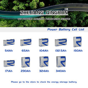 REPT LFP 54Ah Klasse A 3,2V Lithium-Prismenzelle EV-Energiebatterie Lifepo4 für Elektrofahrzeuge Hochleistungs-Lithium-Eisen-Akku - Product Image 3