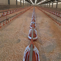 Conception de ferme porcine préfabriquée, nouvelle conception, structure en acier économique, écologique, anti-corrosion