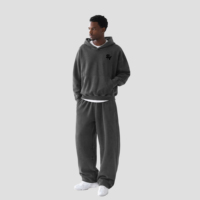 Sweat à capuche personnalisé avec impression en relief, en coton French Terry 360g, coupe ample, manches courbées, effet délavé vintage, vierge, streetwear, OEM en gros