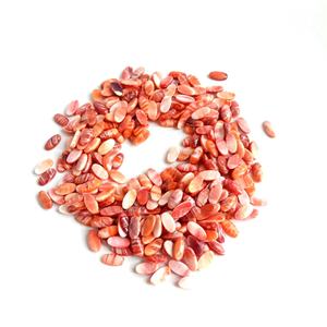 Natural Orange Spiny Oyster Cabochon Spiny Oyster Copper turchese cuscino Cabochon <span class=keywords><strong>pietra</strong></span> <span class=keywords><strong>preziosa</strong></span> - Product Image 3