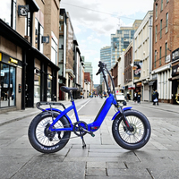 <strong>Best</strong> <strong>Selling</strong> Foldable Fat Tire Step Thru 500w 48v <strong>Folding</strong> Electric Bike for Woman
