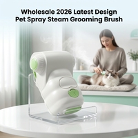 Trendprodukt 2026 Fabrikpreis Haustier-Wasser-Dampf-Pflegebürste 3-in-1 Spray-Massage-Haarentferner für Katzen und Hunde Antistatisch
