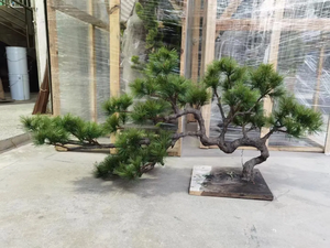 Nhà máy trực tiếp cường độ cao cây mô phỏng cây thông nhân tạo cây thông cho restuant trang trí nội thất - Product Image 4