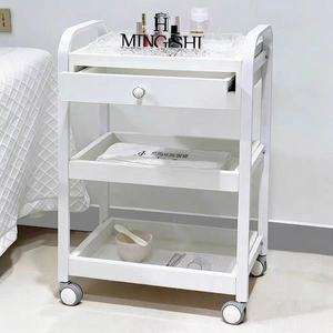 Chariot de Salon de Beauté Professionnel Robuste sur Roues pour Soins Corporels et Faciaux, Machine de Beauté Portable pour Spa - Product Image 2