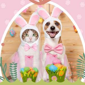 طقم زي أرنب عيد الفصح للحيوانات الأليفة 2026، تنورة توتو متعددة الطبقات مع عصابة رأس بآذان أرنب وربطة عنق وذيل، الأكثر مبيعًا على أمازون - Product Image 3