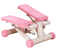 Mini Stepper Magnétique à Cadre en Acier Silencieux, Équipement de Fitness Multifonctionnel de Haute Qualité avec Résistance Réglable et Écran LED